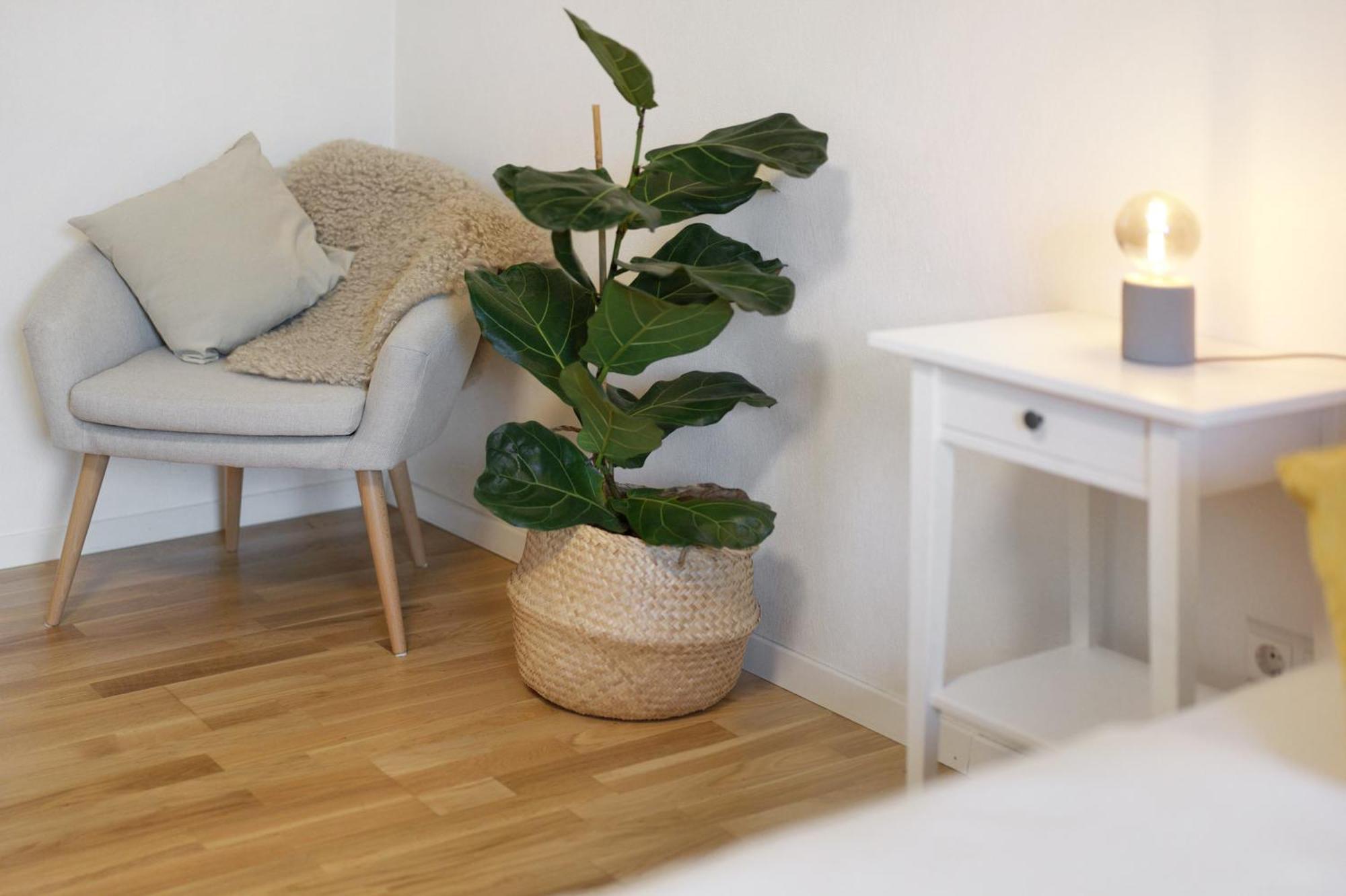 Ferienwohnung Obsthof Fiess Oberkirch  Zewnętrze zdjęcie